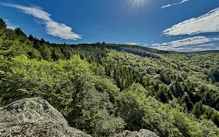 photographe pour visite virtuelle de sites naturels